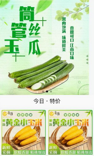 董浜农业旅游